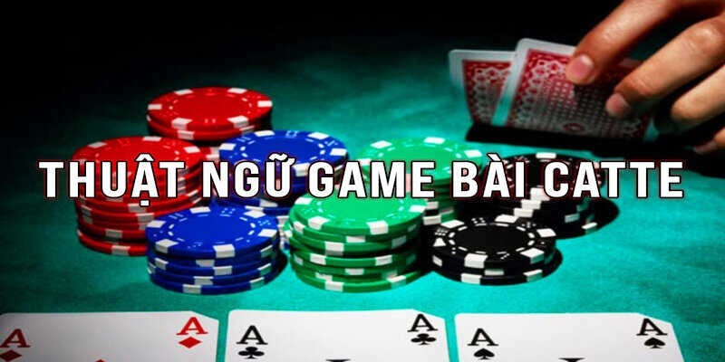 Bộ từ ngữ hay xuất hiện trong game catte iWin