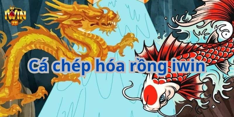 Luật chơi cơ bản của game cá chép hóa rồng tại nhà cái cược thủ cần biết