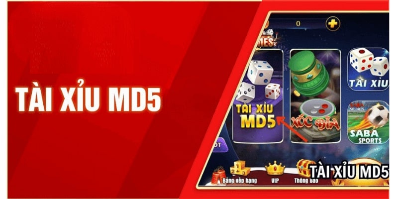 Tài Xỉu Md5 Iwin - Tựa Game Cá Cươc Tài Xỉu Phiên Bản hiện Đại